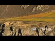 Chard farm vineyard 7 3280